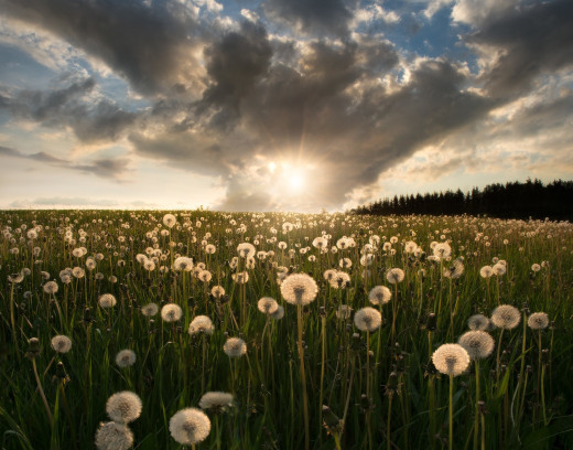 �1760671 �������(a): ����������:2048x1604